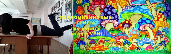 соль ск Белокуриха